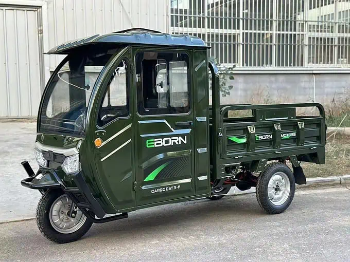 Eborn CARGOCAT 3-S & F, E-Cargo Dreirad